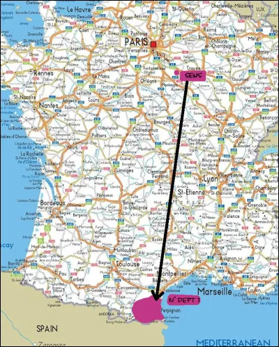 Avec leurs machines à remonter le temps, les scientifiques connaissent désormais l'âge de l'apparition de ce "Y" dans l'histoire de l'évolution : à votre avis ?