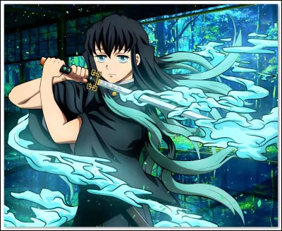 Qui est Muichiro Tokito ?