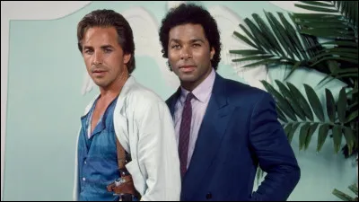 Quelle est cette série policière avec Don Johnson et Philip Michael Thomas ?