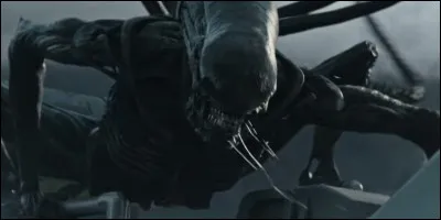 Qui a écrit le roman "Dreamcatcher", où il y a des extraterrestres ?