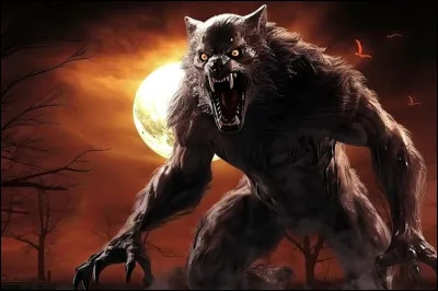 Complétez le nom de ce jeu de société : "Les Loups-garous de ...".