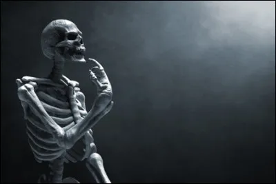 Lequel de ces os humains se situe dans le bras ?