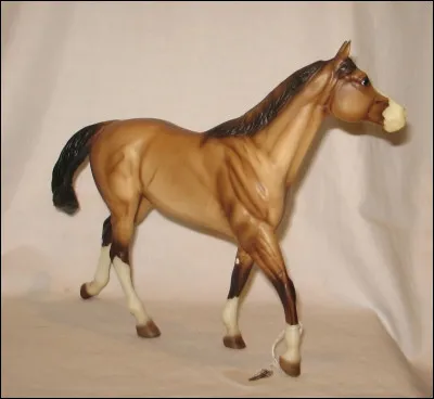 Quelles est la robe de ce cheval ?