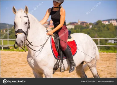 Quelle est la couleur de la peau d'un cheval blanc ?