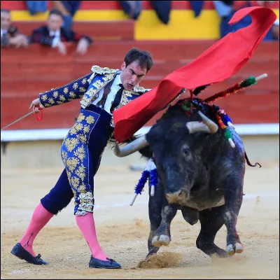 Quelle est la capitale de l'Espagne ?