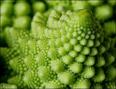 Quel est ce légume qui est géométriquement une mise en abyme ?
