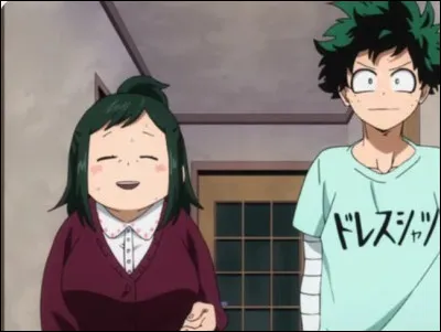 De quel manga vient cette famille ?