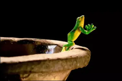 Quel nom portait également l'outil appelé houe bivalente ?