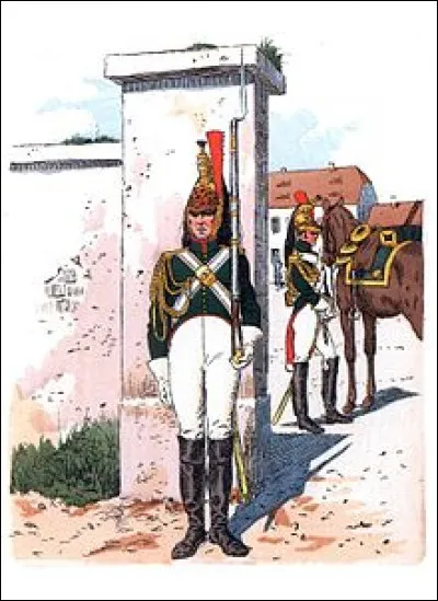 Qu'est-ce qu'une dracène ?