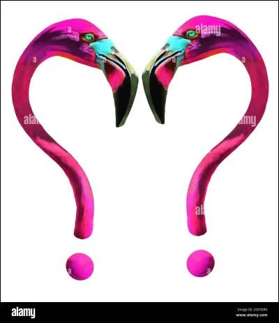 Tu aimes les animaux...