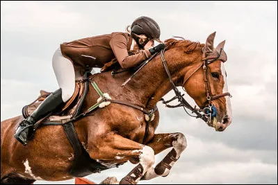 À quoi sert la croupe du cheval ?