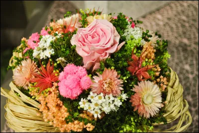 J'espère que tout va bien, pour mieux s'aimer chez nous où je vis, je viendrai te chercher !