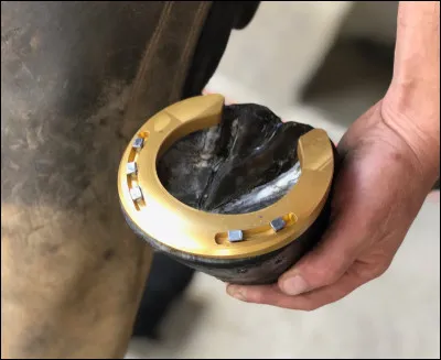 C'était Noël, près de la rivière enchantée, ma môme, ma fille, les enfants terribles !