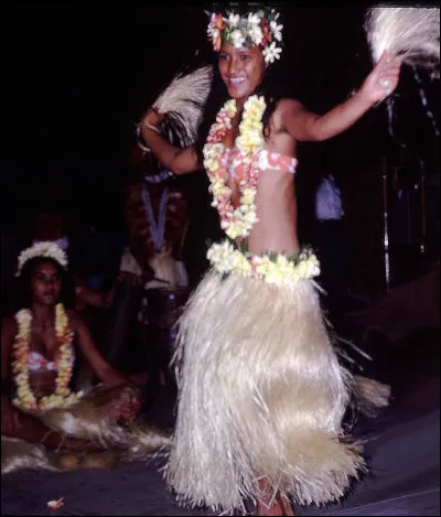 Désolé, comment je saurais compter les bisons dans la maison vide ? Demandez à mon cheval !