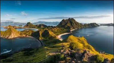 C'est l'île des dragons de Komodo. Où sommes-nous ?