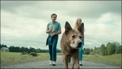 "Simetierre : Aux origines du mal" n'est pas ... de "Simetierre".