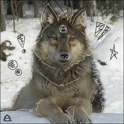 Crois-tu en la theriantropie ?