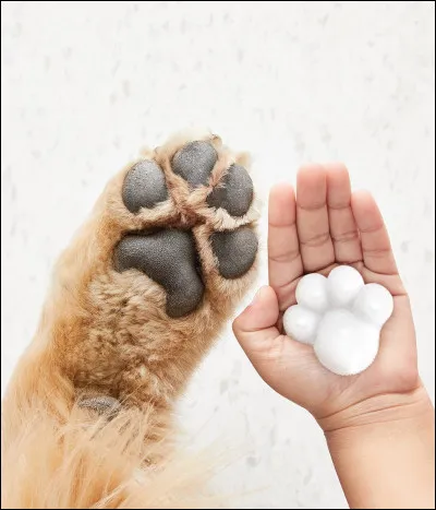 Aimes-tu les animaux ?