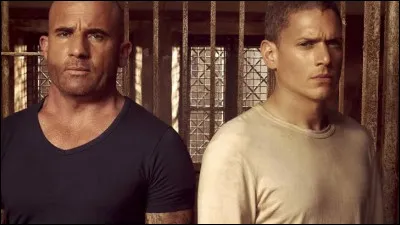 Dans la série "Prison Break", Michael Scofield et Lincoln Burrows sont frères.