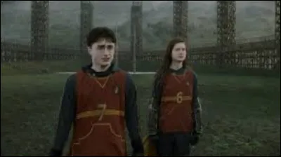 Combien Harry et Ginny ont-ils d'années décart ?