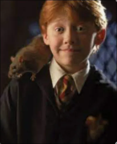 Comment sappelle-t-il ?