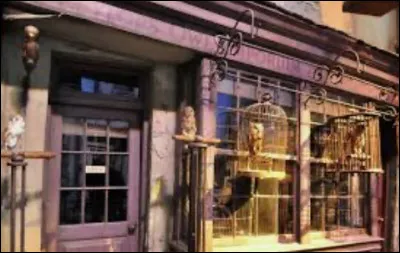 Quel animal a Hermione ?