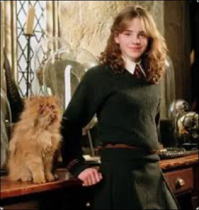 Comment sappelle-t-il ?