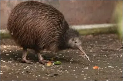 De quel pays cet oiseau est-il endémique ?