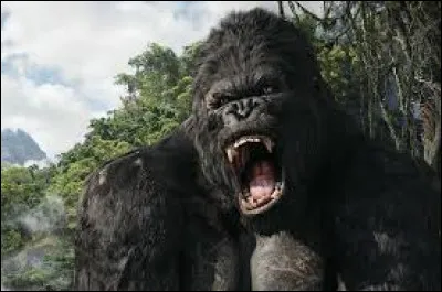 Qui a écrit "King Kong" ?
