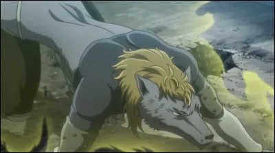 Quelle est la race du personnage ci-dessus ?