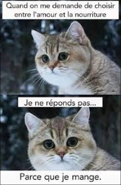 De ces trois artistes, lequel, ou laquelle, n'a pas interprété le titre ''Les Feuilles mortes'', chanson écrite par Jacques Prévert et composée par Joseph Kosma, en 1950 ?