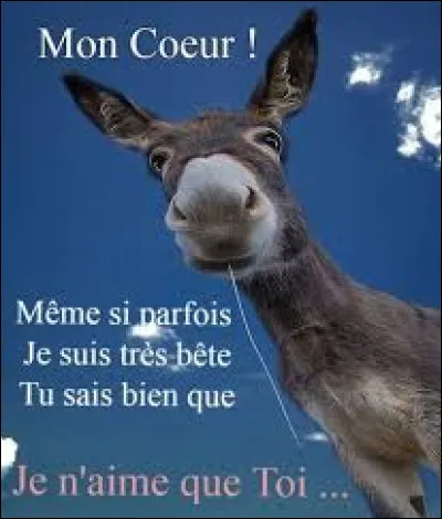 Quel chanteur a chanté le titre ''Puisque tu pars'', en 1988 ?