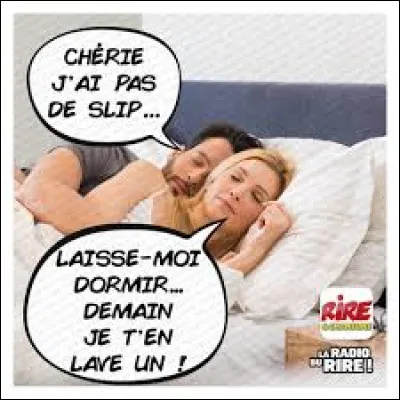 Quel duo a interprété la chanson ''Je taime moi non plus'', titre sorti en 1969 ?