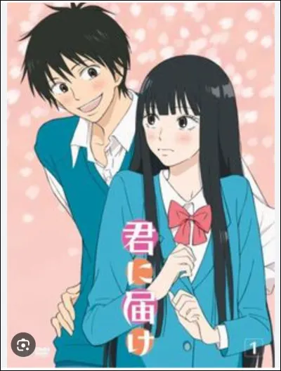 Quel est cet animé ?