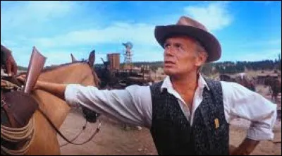 Sorti en 1962, « La Conquête de l'Ouest » est un film recouvrant un demi-siècle dhistoire du Far West. Réalisé par trois grands noms du cinéma américain, dont John Ford, il est basé sur une distribution dacteurs impressionnante. Quels sont les acteurs ayant partagé laffiche de ce western ?