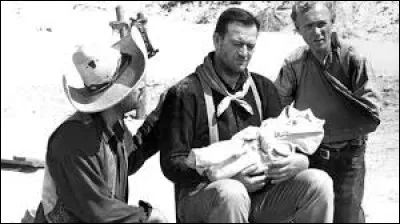 Trois hors-la-loi se retrouvent en fuite dans le désert après le braquage dune banque. Alors qu'ils tentent d'échapper aux autorités, ils découvrent une femme sur le point d'accoucher et, après sa mort, ils prennent soin de son bébé. Quel est le titre du film ?