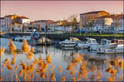 Dans quel département se situe la commune de Saujon, forte de ses 7200 habitants et qui dans un rayon de 35 km offre la possibilité de visiter le zoo de la Palmyre, la Corderie Royale et la cité de Brouage ?