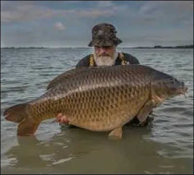 Quel est le lac réputé le plus poissonneux de France ?