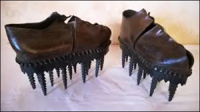 Comment s'appellent les chaussures ci-dessus ?