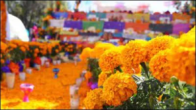 (Suite de la question précédente) Quelle fleur est généralement utilisée pour la décorer ?