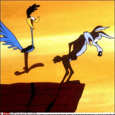 Quel personnage de dessin animé est souvent vu courant vers un ravin sans le voir ?