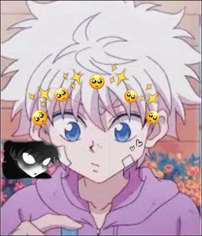 Quel est son poids ?