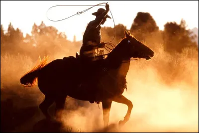 Comment vas-tu, toi mon démon ? Bonne chance ! Adieu Lisbonne, adieu mon pays !
