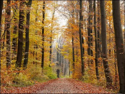 Viens, viens, viens sur la montagne, mon amour mon ami, lève-toi, chante avec moi, prenons le temps !