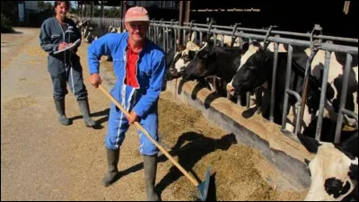 C'est une belle journée que mon cur lâche avant que l'ombre, sans logique, appelle mon numéro !