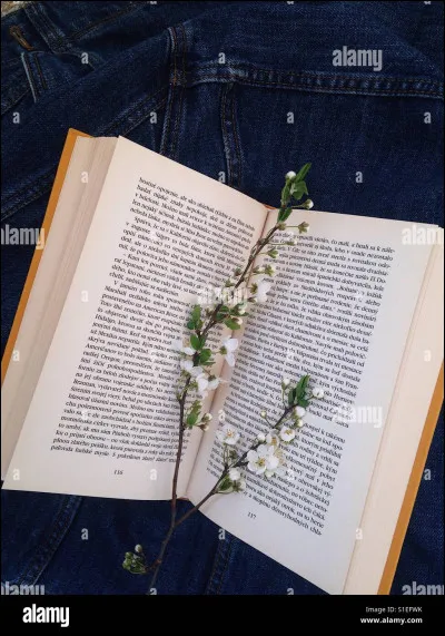 Quel lecteur es-tu ?