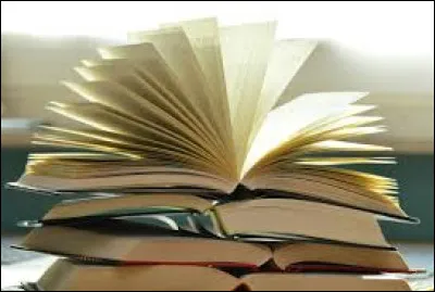 "Michel Strogoff" est un roman d'aventures de Jules Verne qui est paru en 1876.