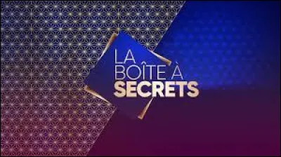 L'émission "La Boîte à secrets" est présentée par Julia Vignali.