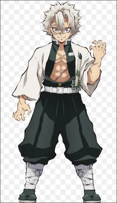 Aimes-tu les shônens ?