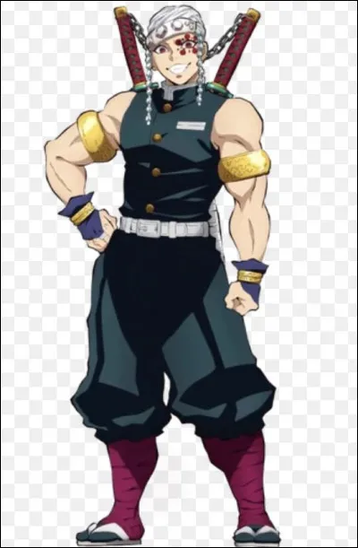 Que voudrais-tu avoir ?